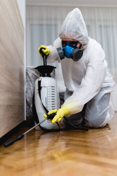 Best Bed Bug Extermination  in Kansas City, KS